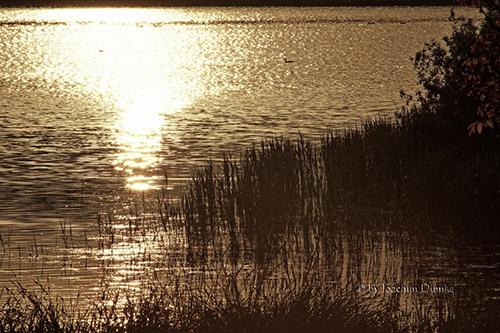 Messingschläger Teich